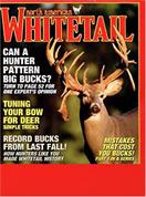 North American Whitetail